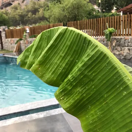 Casa Luxury Otel Göcek